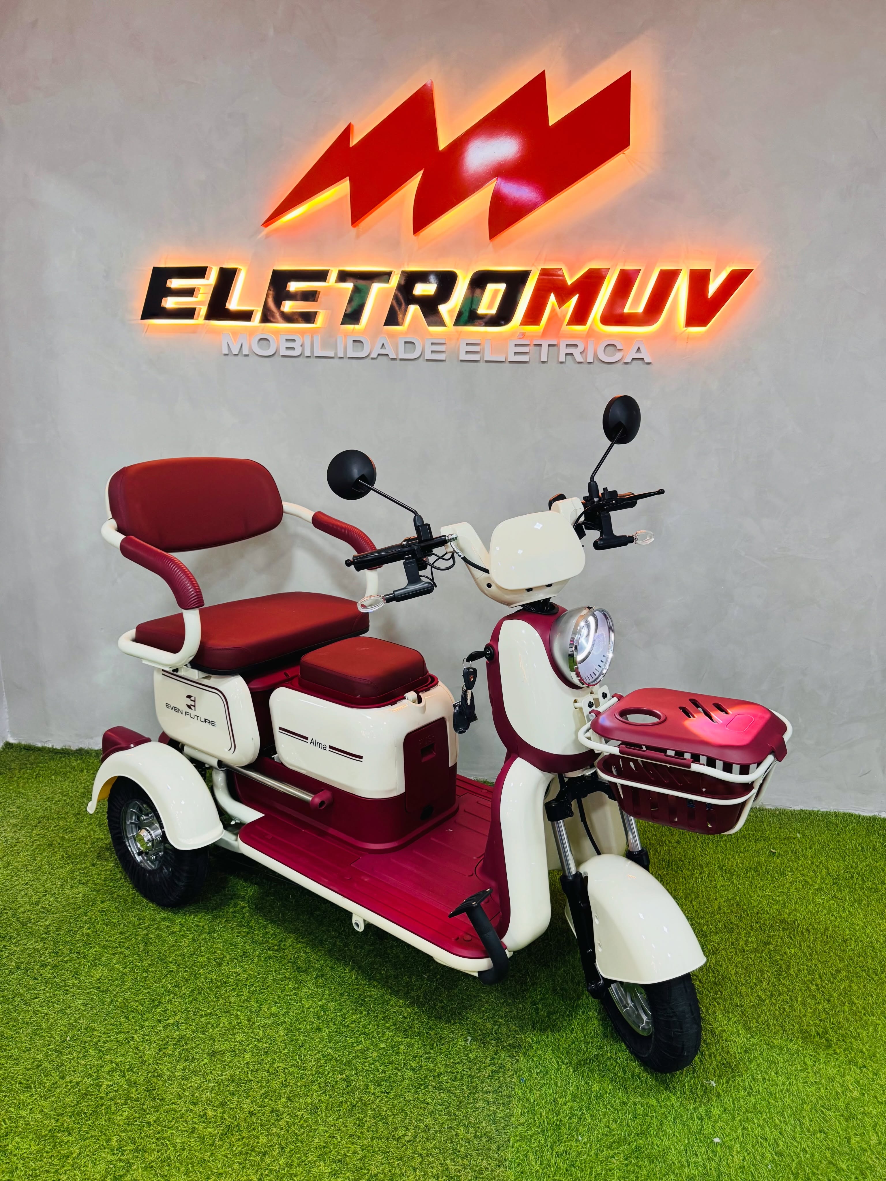 Triciclo elétrico Alma 1000W