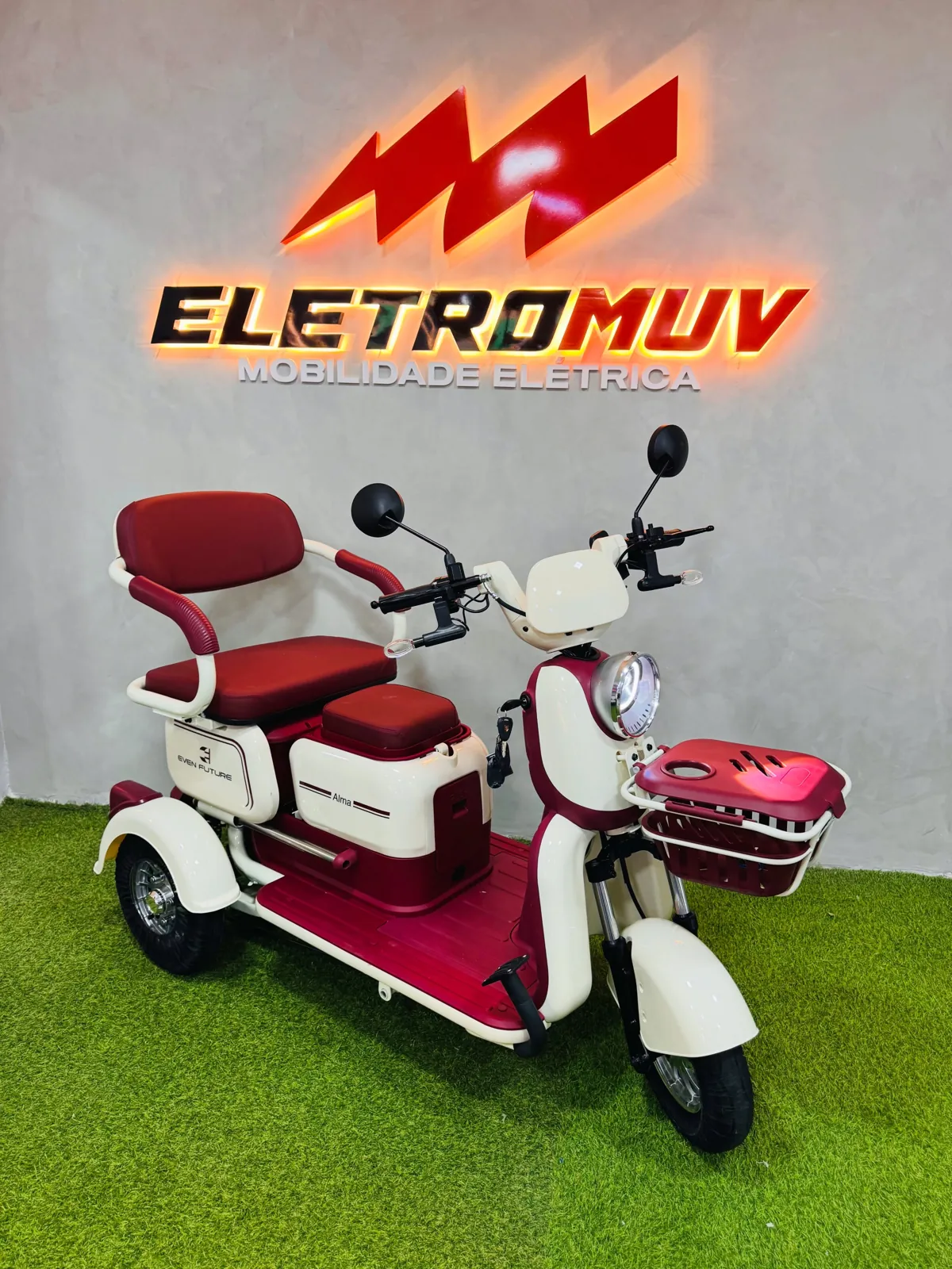 Triciclo elétrico Alma 1000W